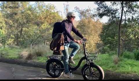 Discover the Versatile Appeal of 20″ Folding E-Bikes